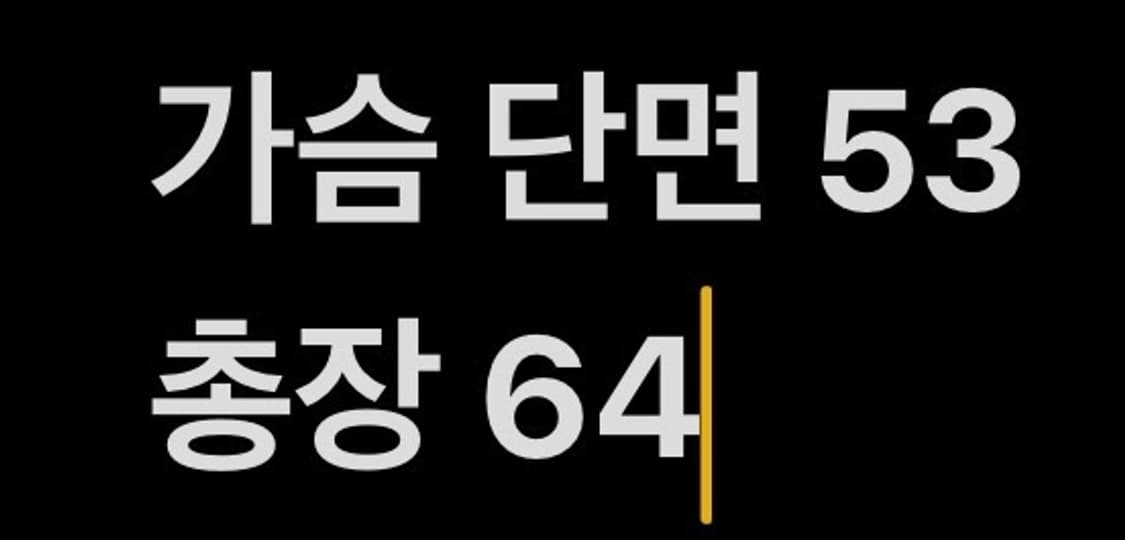 [정품/S] 세인트페인 레오파드 블루종 자켓 b16 상품이미지8