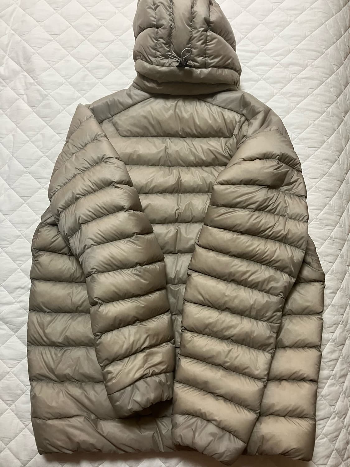 [XL] 아크테릭스 세륨 후디 룬 상품이미지3