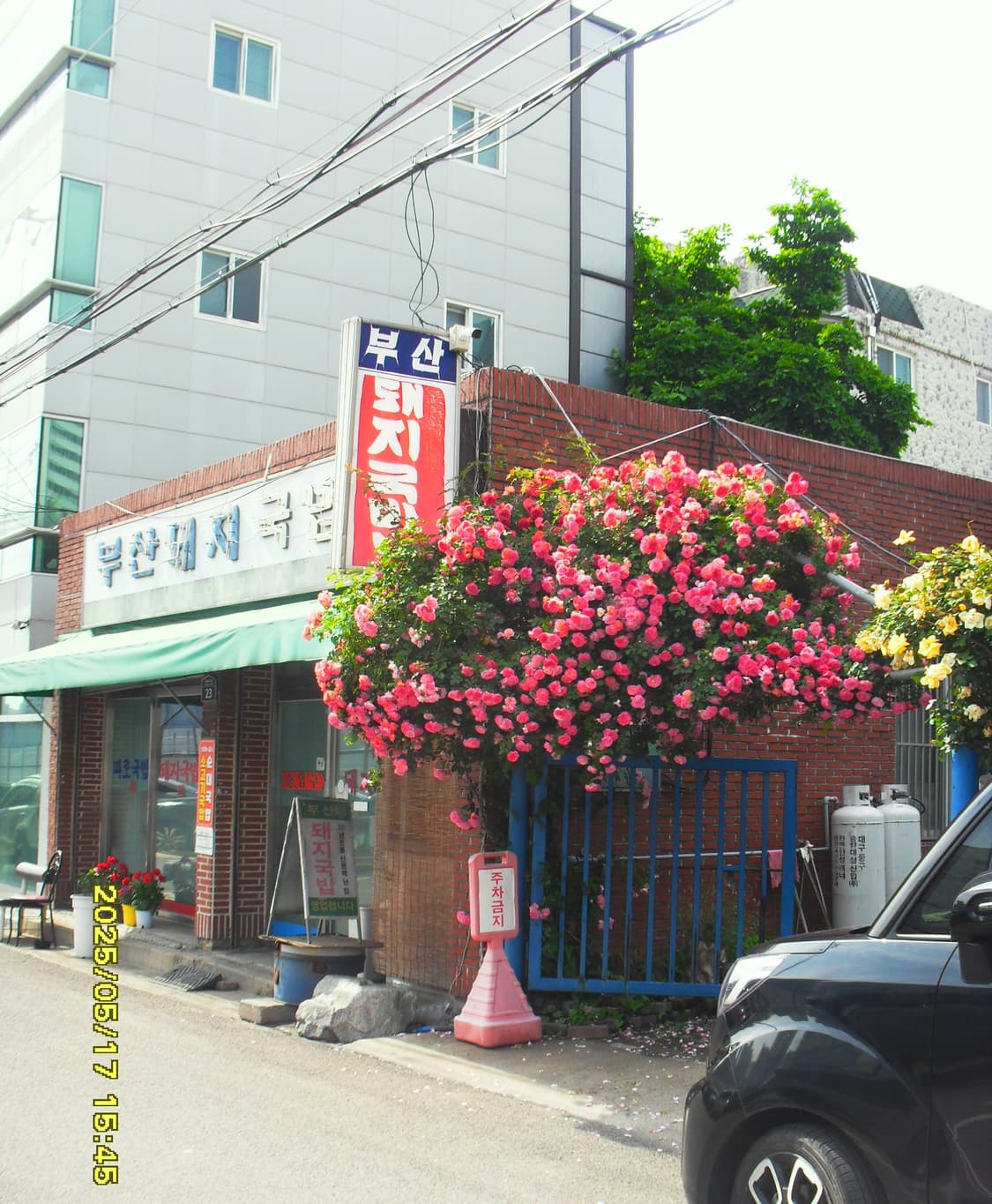 삼성 VLUU i100 디지털카메라  상품이미지10