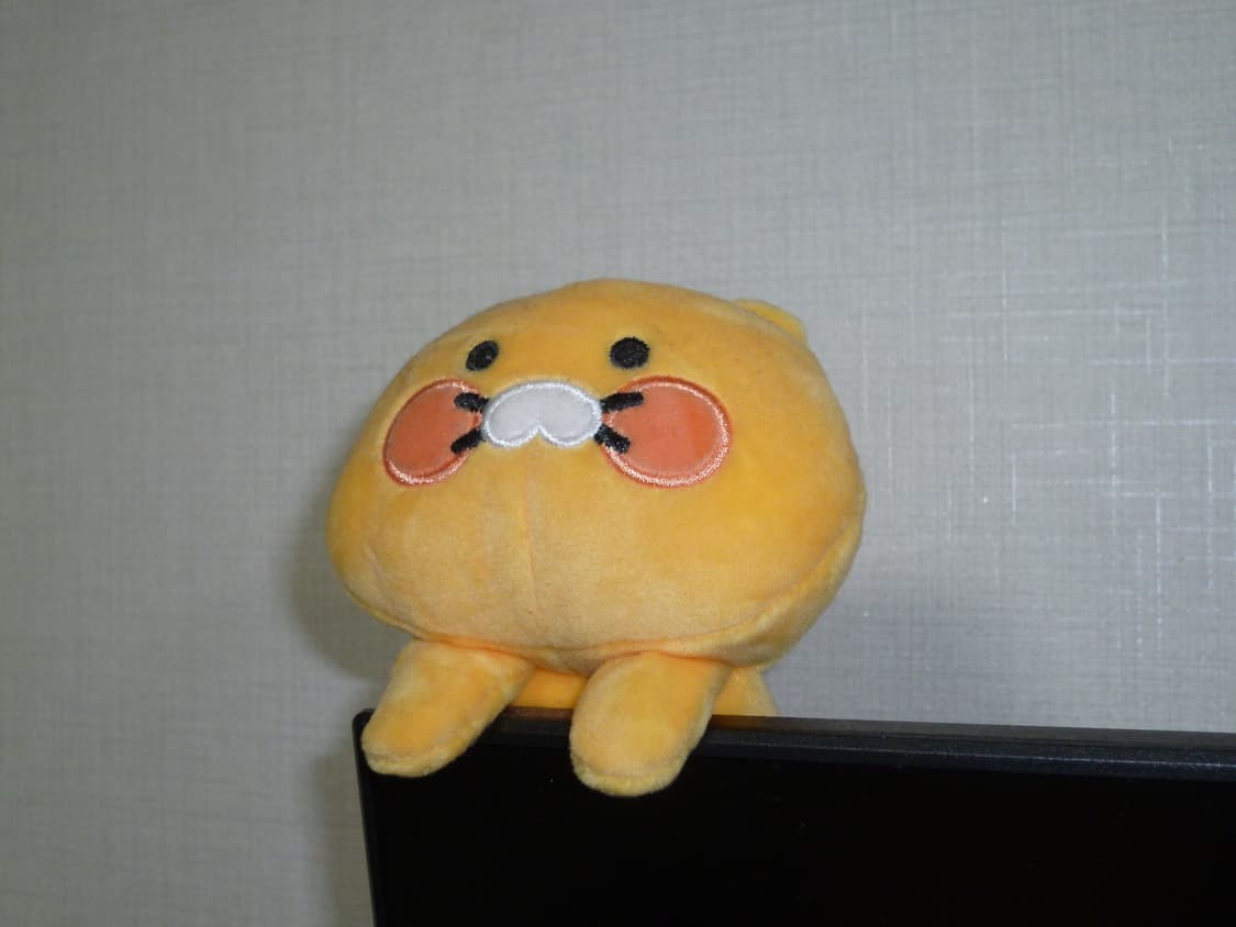 📸 파나소닉 루믹스 DMC-FX90 블랙 풀세트 상품이미지7