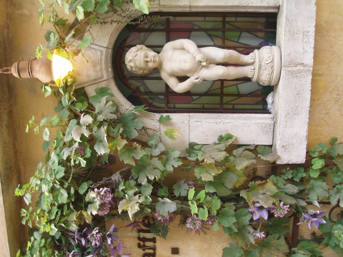 올림푸스 뮤 미니 핑크 상품이미지7