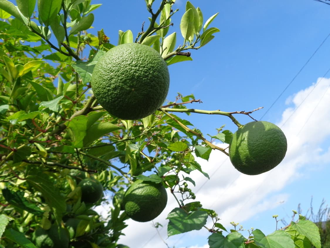 소니 사이버샷 SONY Cybershot DSC-W830 블랙 상품이미지4