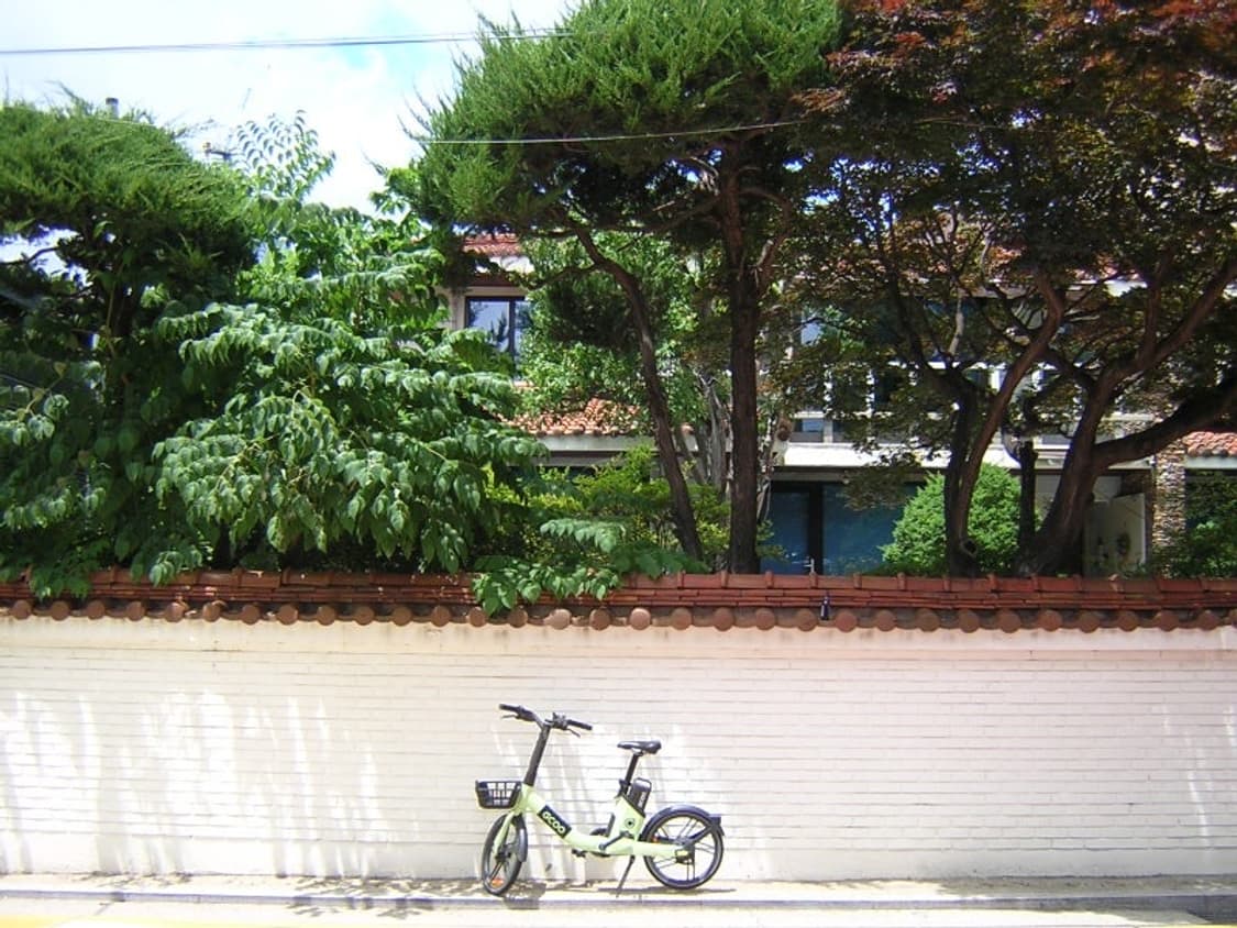 사쿠라픽✨니콘 쿨픽스 nikon coolpix 2100 디카 상품이미지8