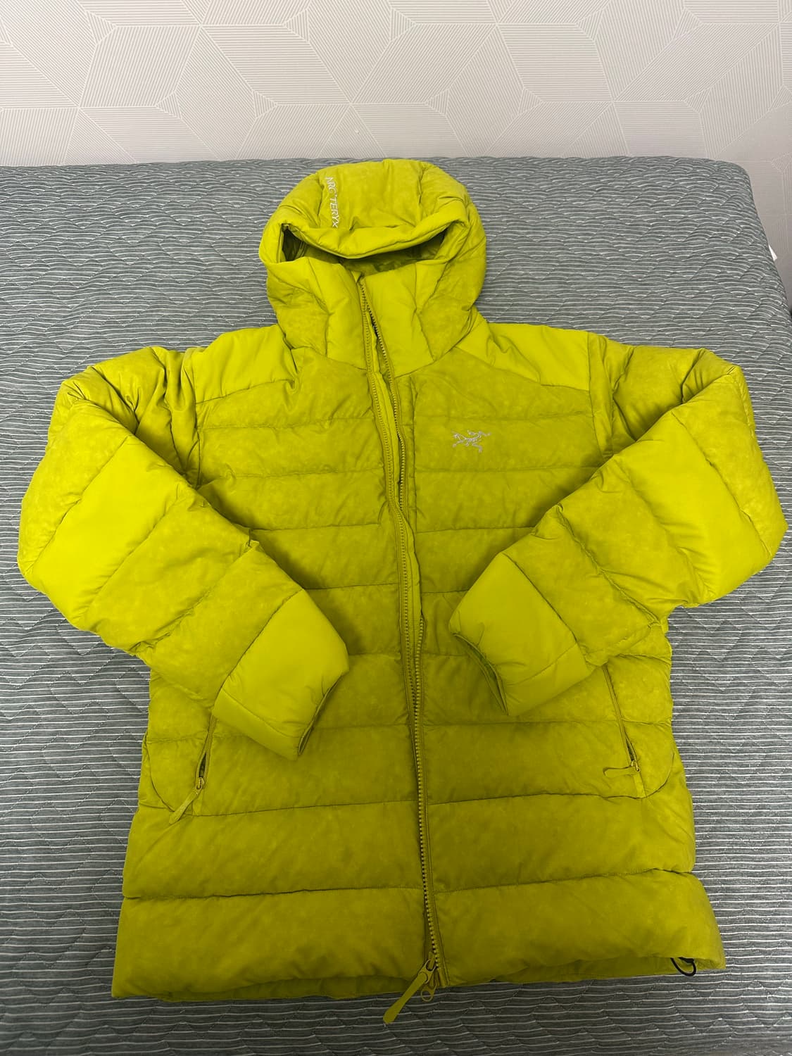 아크테릭스 토륨 후디 램파이어 m (리기어) 상품이미지1