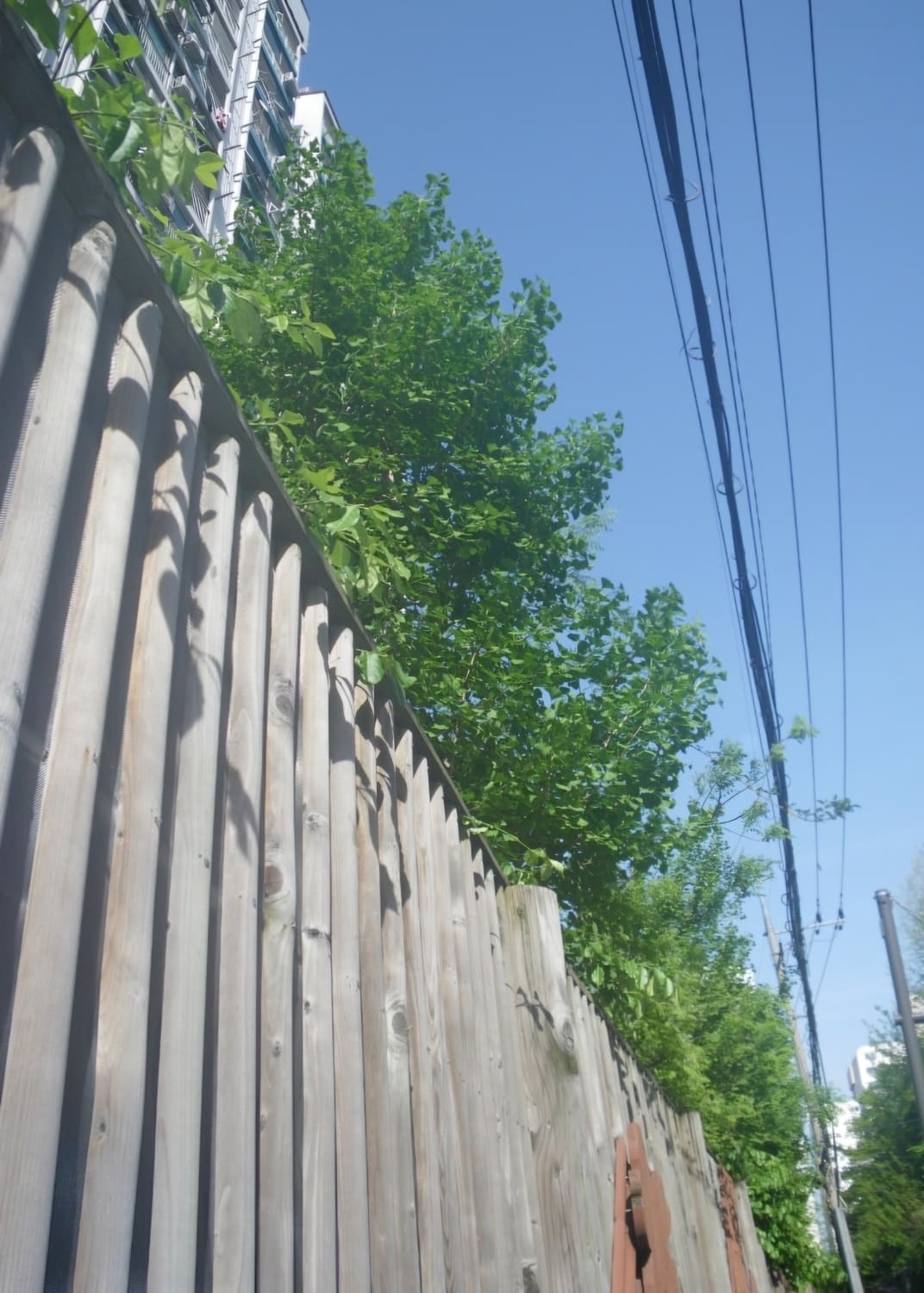 한글지원🤍 펜탁스 옵티오 W60 실버 🤍 상품이미지10