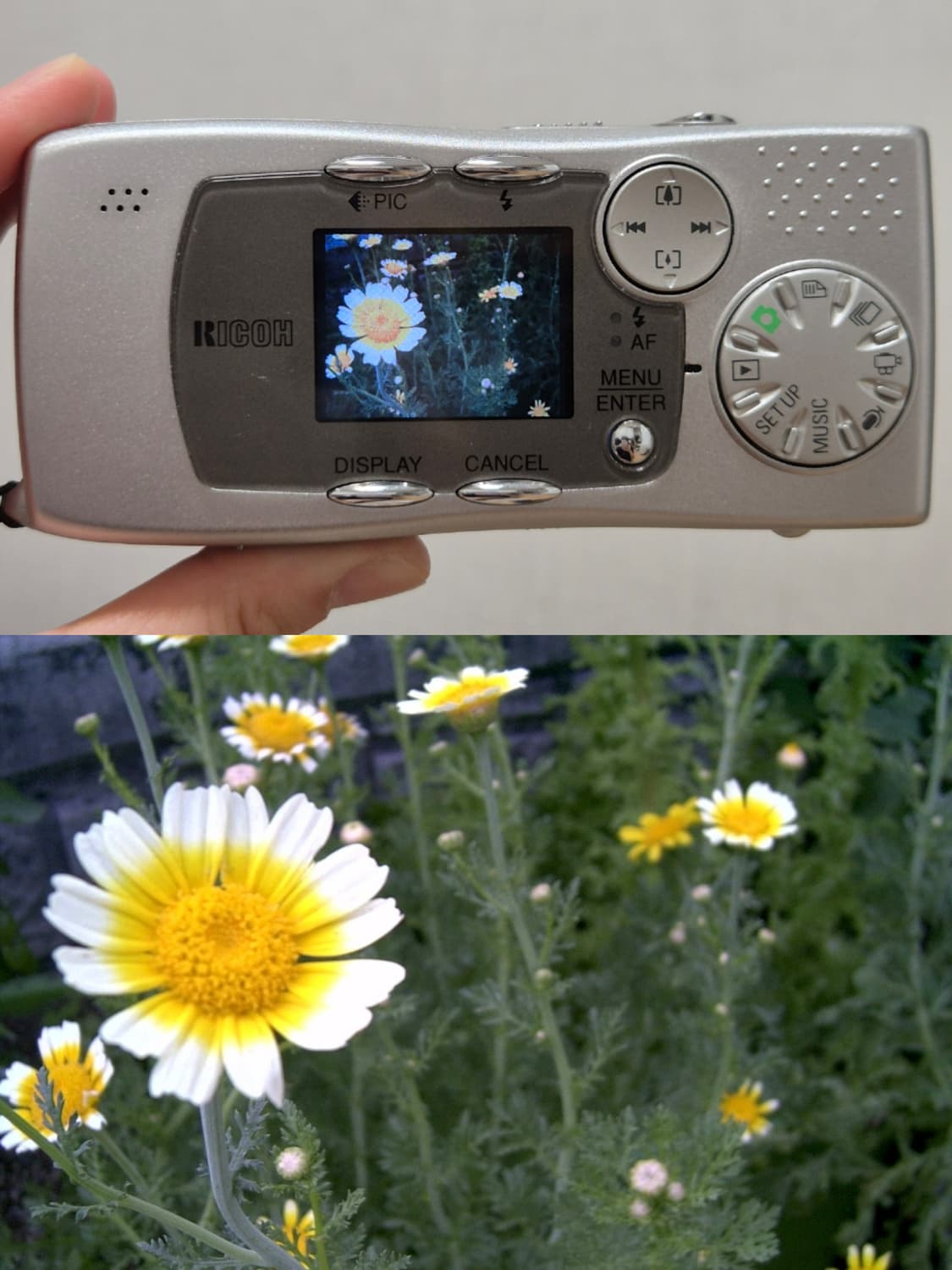 풀박 📸 리코 카플리오 RR10 💿mp3도 되는 Y2K감성🤗 상품이미지5