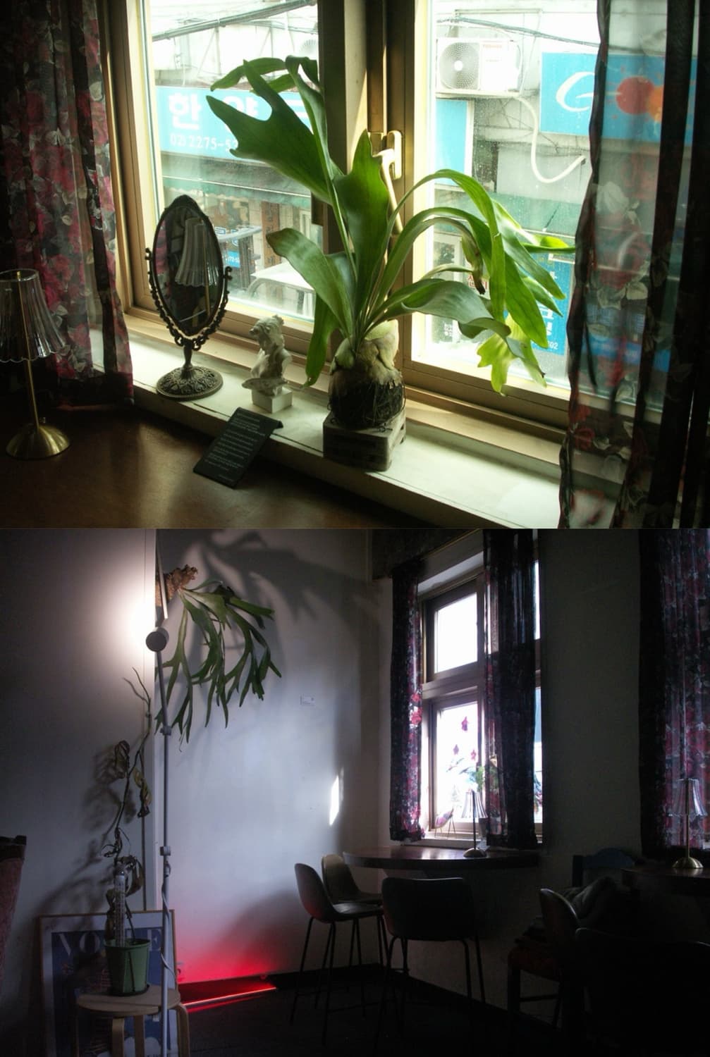 작례있음 ) 코니카 미놀타 dimage x1 💖✨ Minolta 상품이미지2