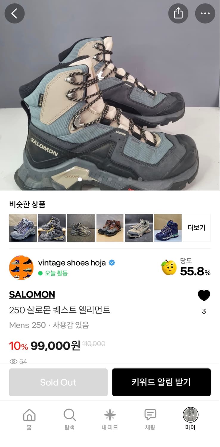250 살로몬 퀘스트 엘리먼트(재판매) 상품이미지1