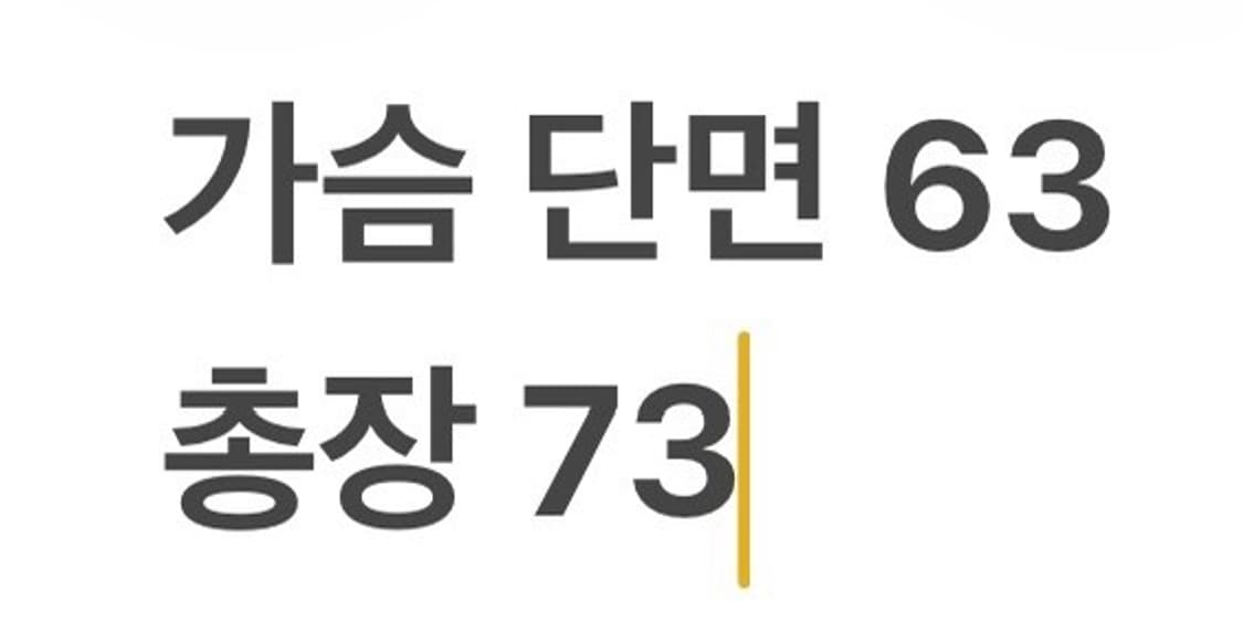 [정품/XL] 내셔널지오그래픽 고어텍스 바람막이 b12 상품이미지10