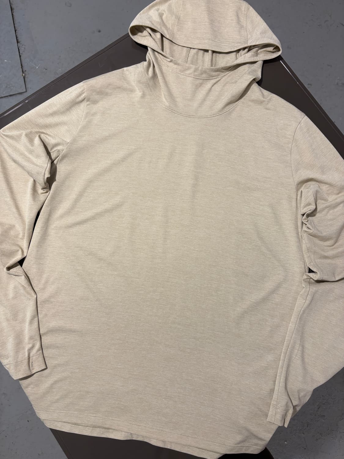 아크테릭스 후드티 상품이미지6