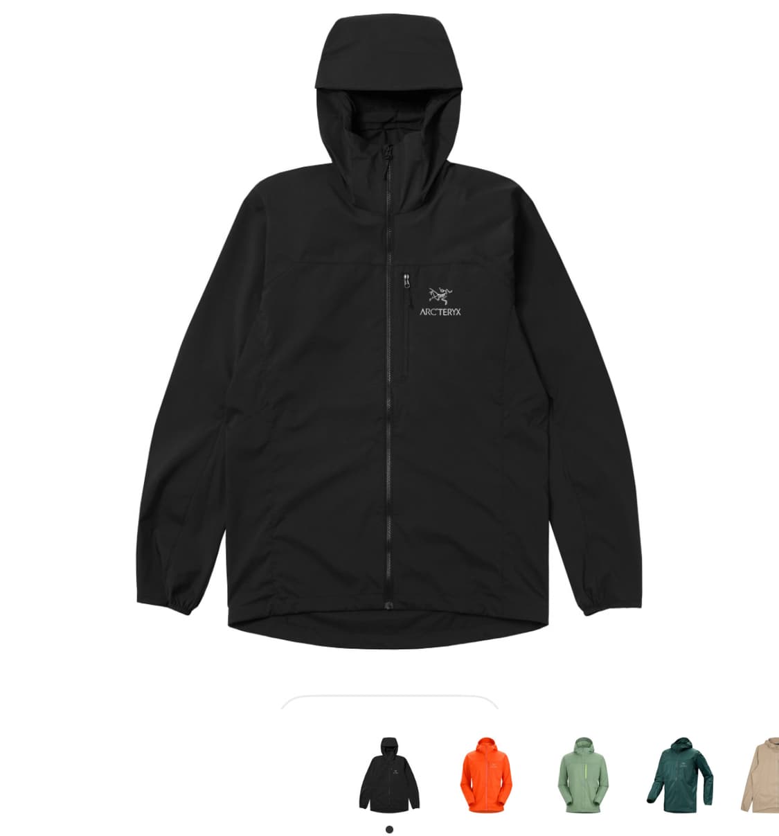  아크테릭스 스쿼미시 후디 블랙 상품이미지1