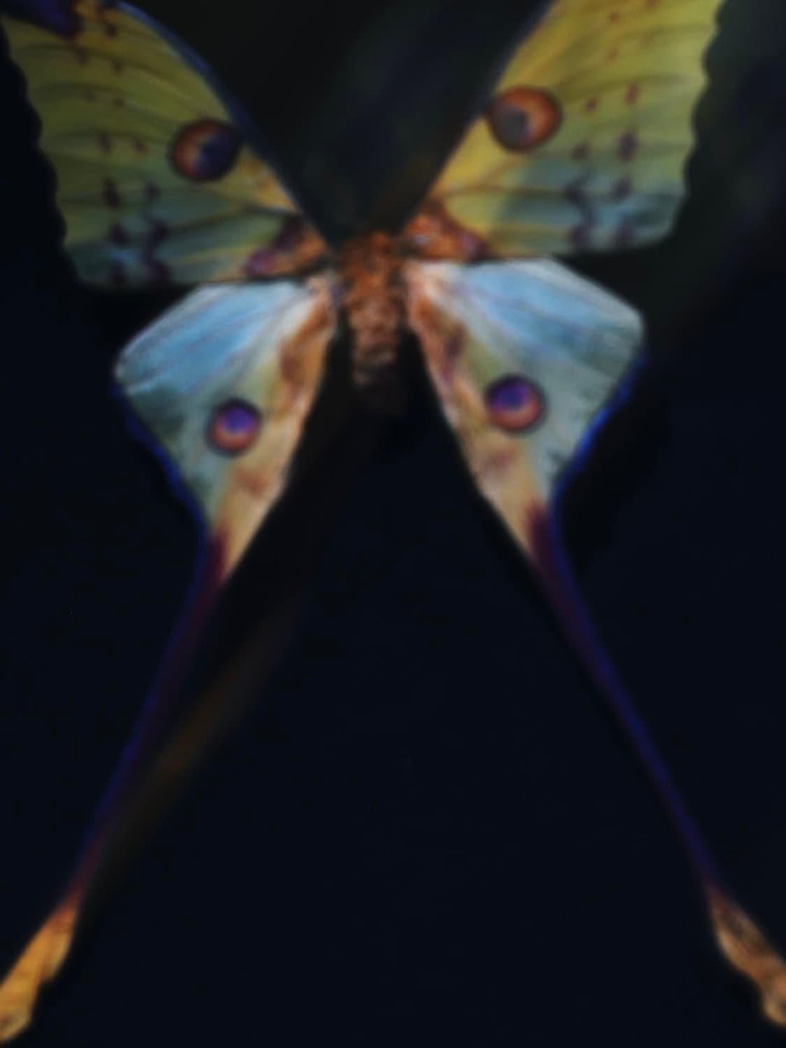 Vanish 상품이미지1