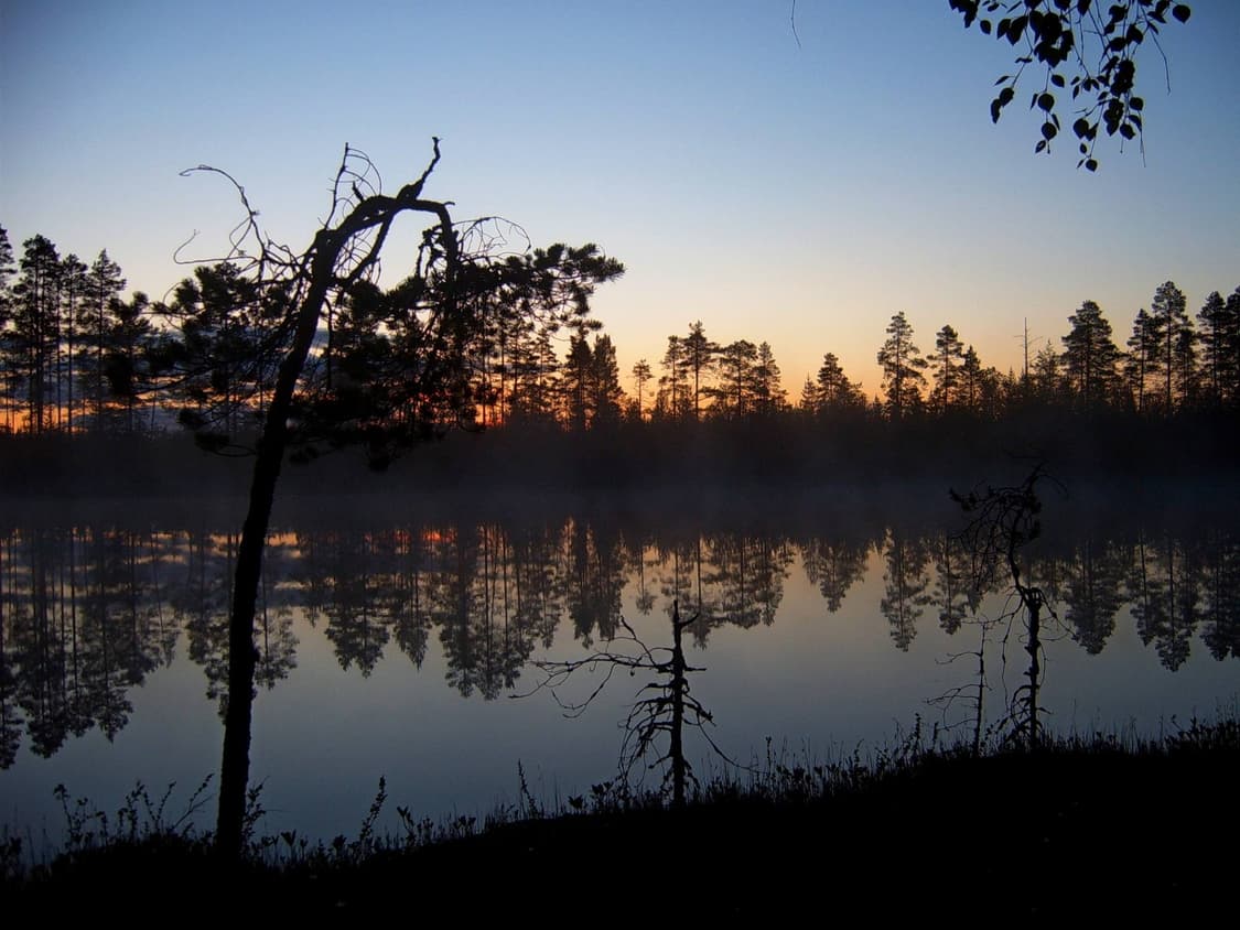 작례O 필름 감성 삼성 케녹스 디지맥스 v4 디지털카메라 빈티지 디카 상품이미지5
