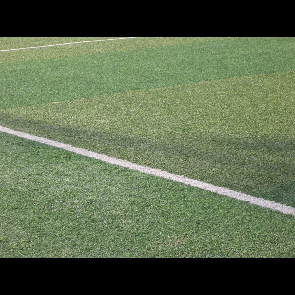 작례⭕️ 캐논 PowerShot 파워샷 S40  소프트 그레이 매트🌫️ 상품이미지3