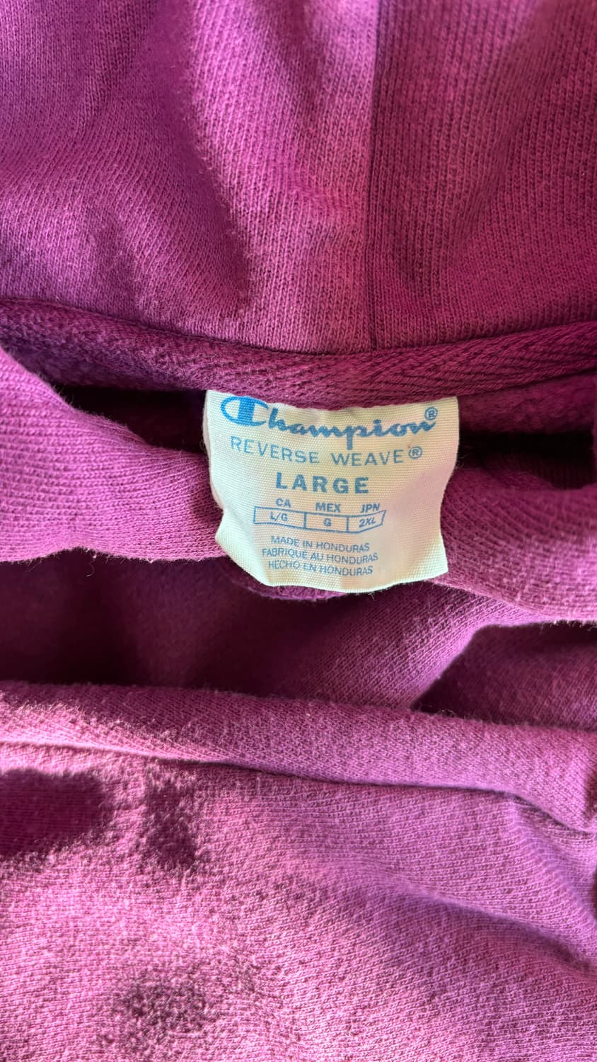 Champion Reverse Weave Hoodie 상품이미지3