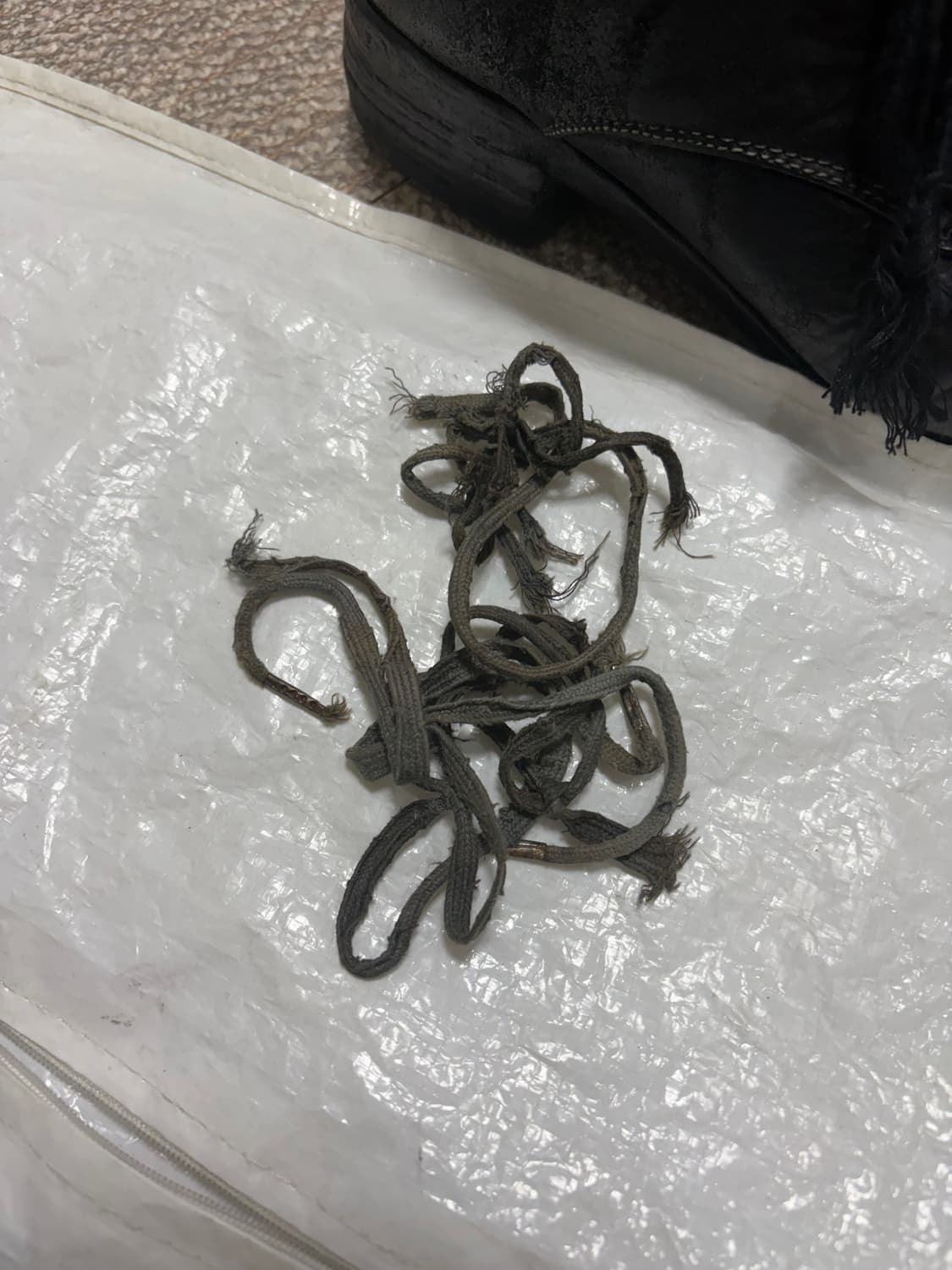 Carol christian poell ccp 더비 6 상품이미지8