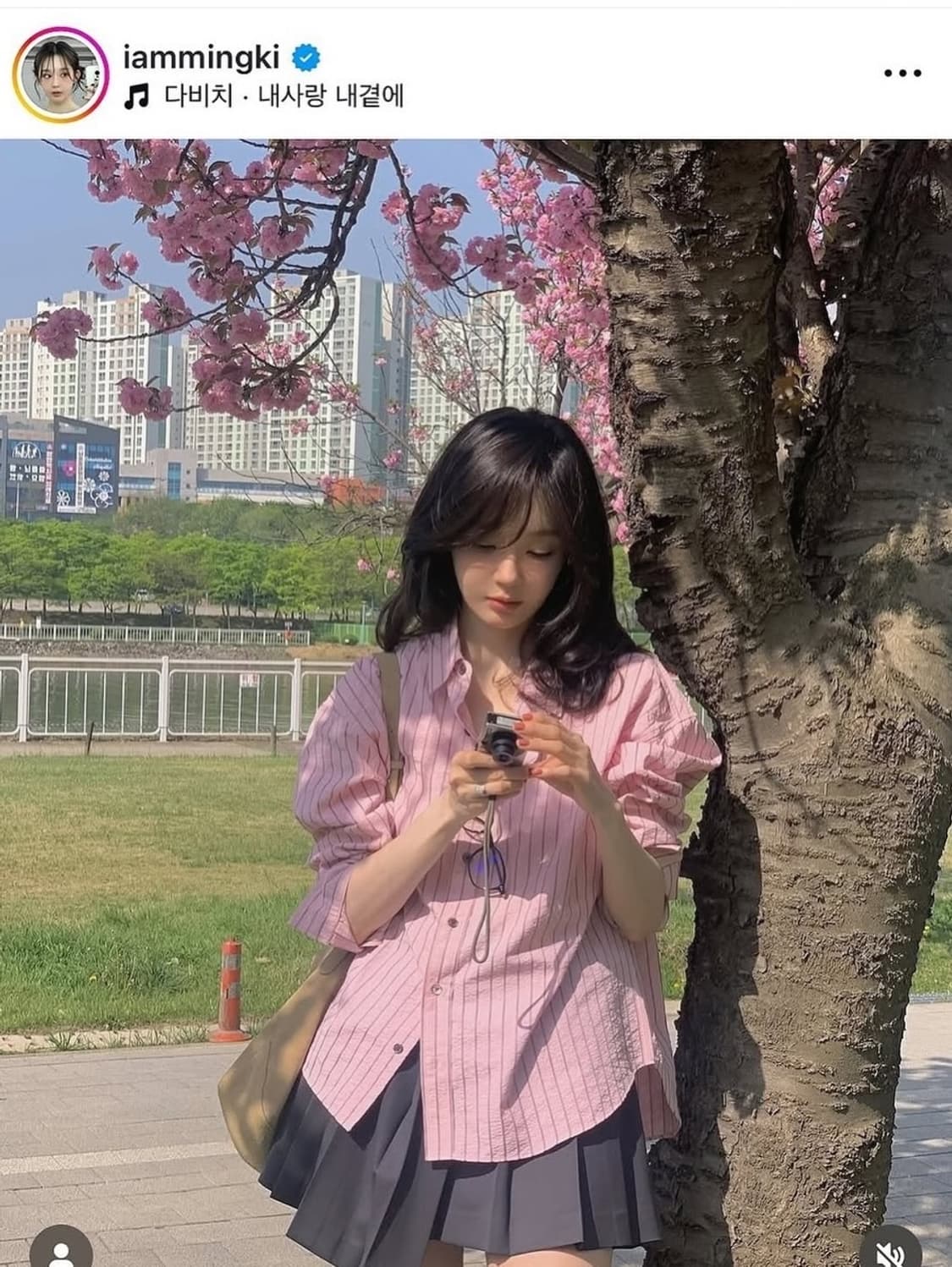 캐논 익서스 70 💓강민경 카메라 상품이미지4