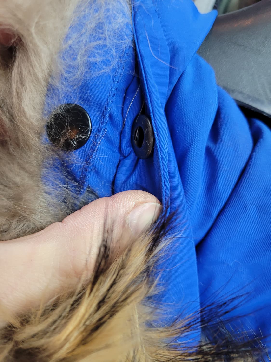 NBA 덴버 너게츠 블루 패딩 점퍼 오리털 (퍼 탈부착) 상품이미지7