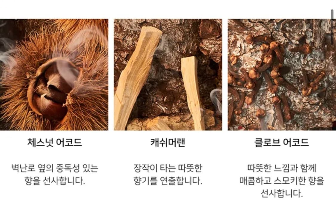 메종 마르지엘라 레플리카 바이 더 파이어플레이스 10ML 상품이미지2