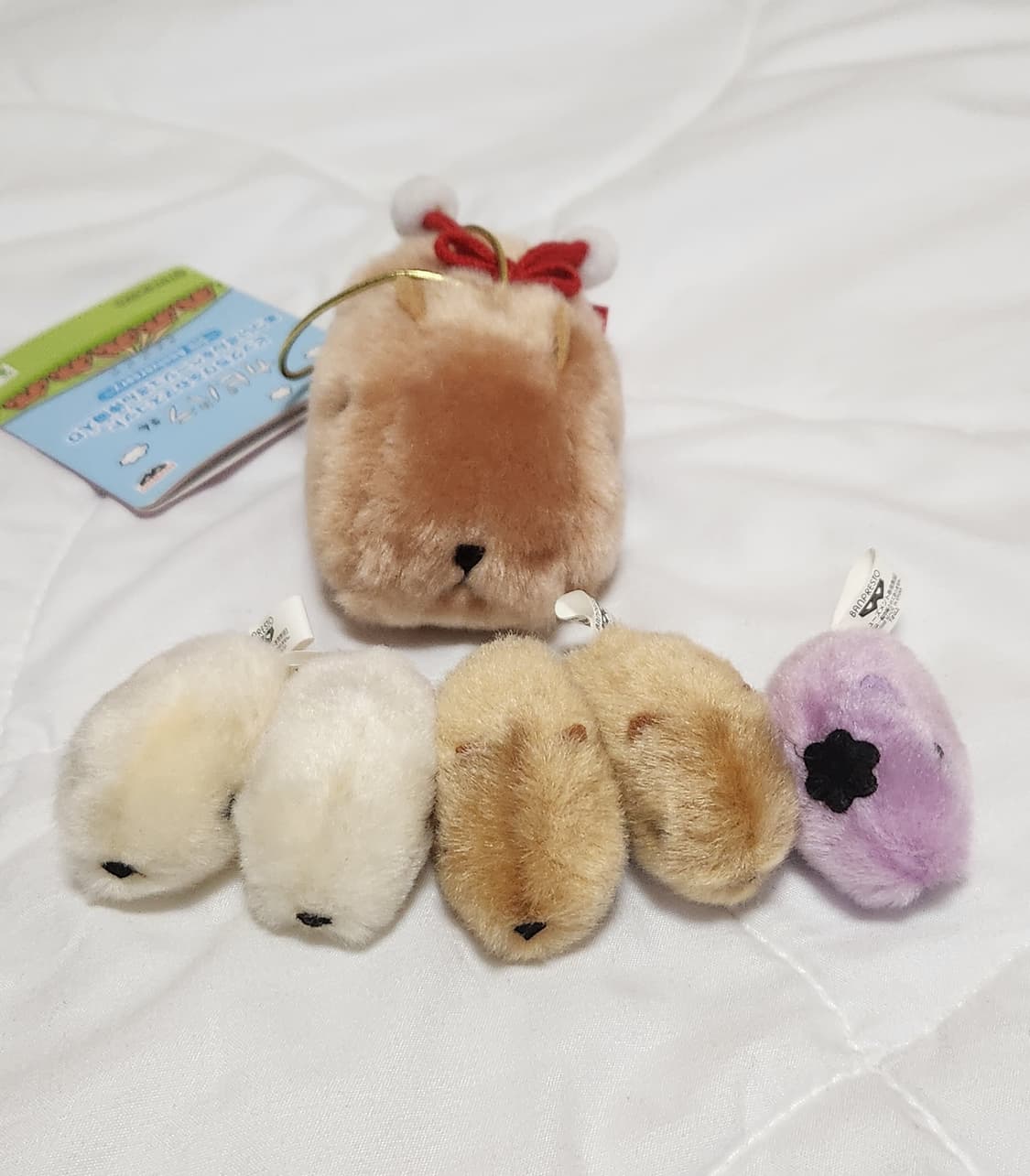 일괄) 카피바라상 인형 누이 미니 키링 상품이미지3