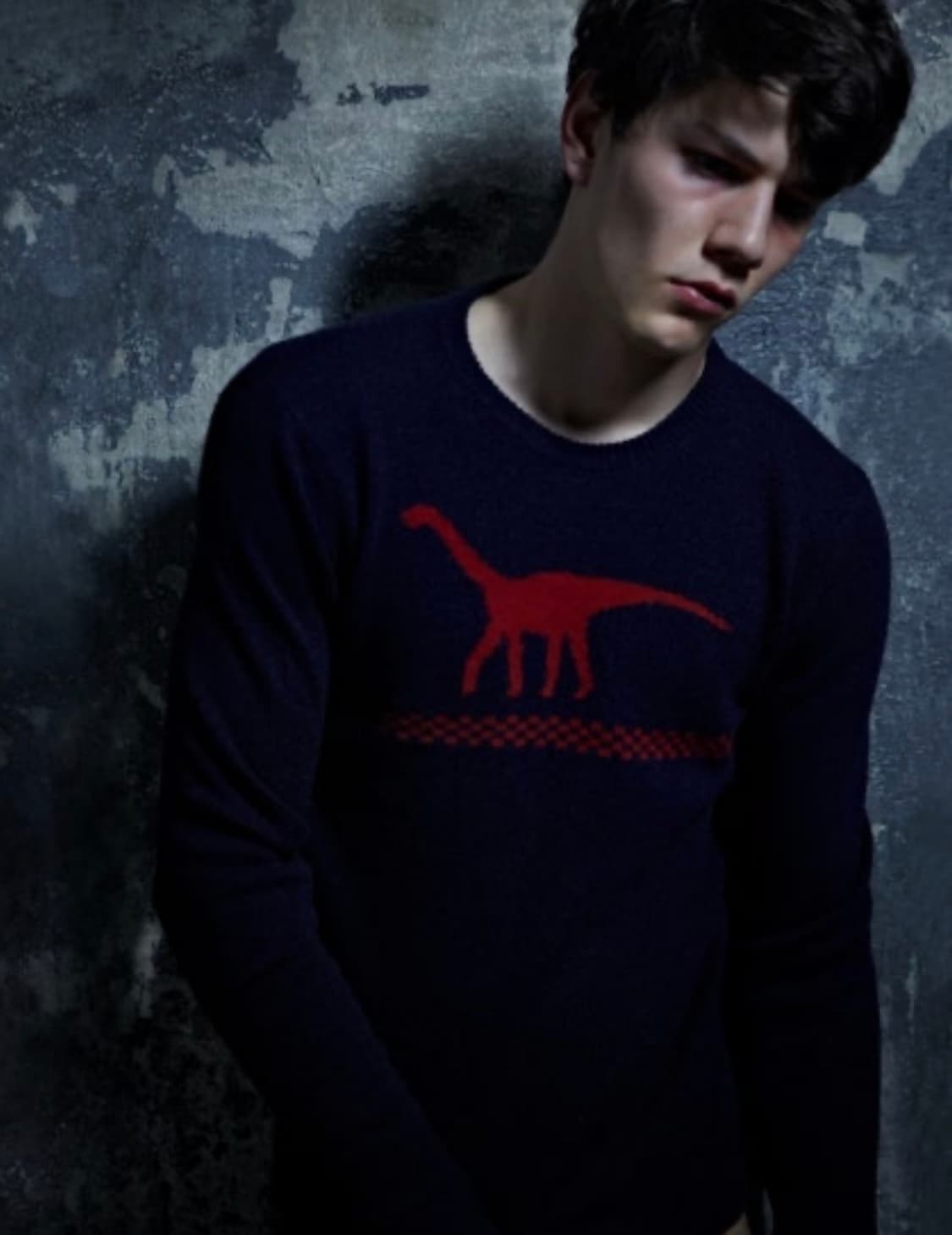 Jil Sander by Raf Simons dino sweater 상품이미지1