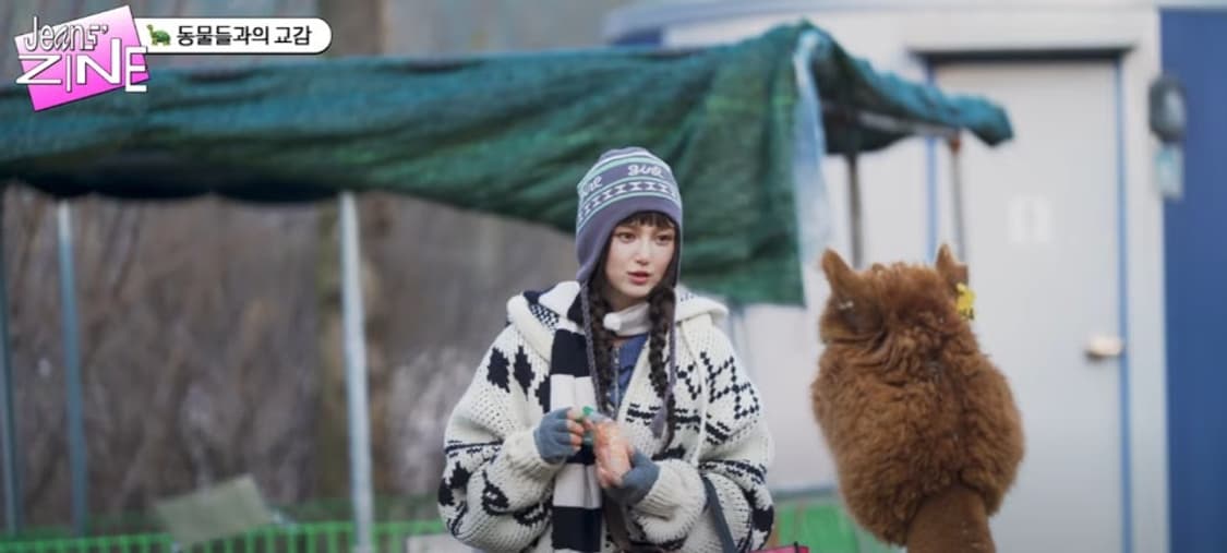 ROSE & DEER JACQUARD KNIT JACKET 상품이미지2