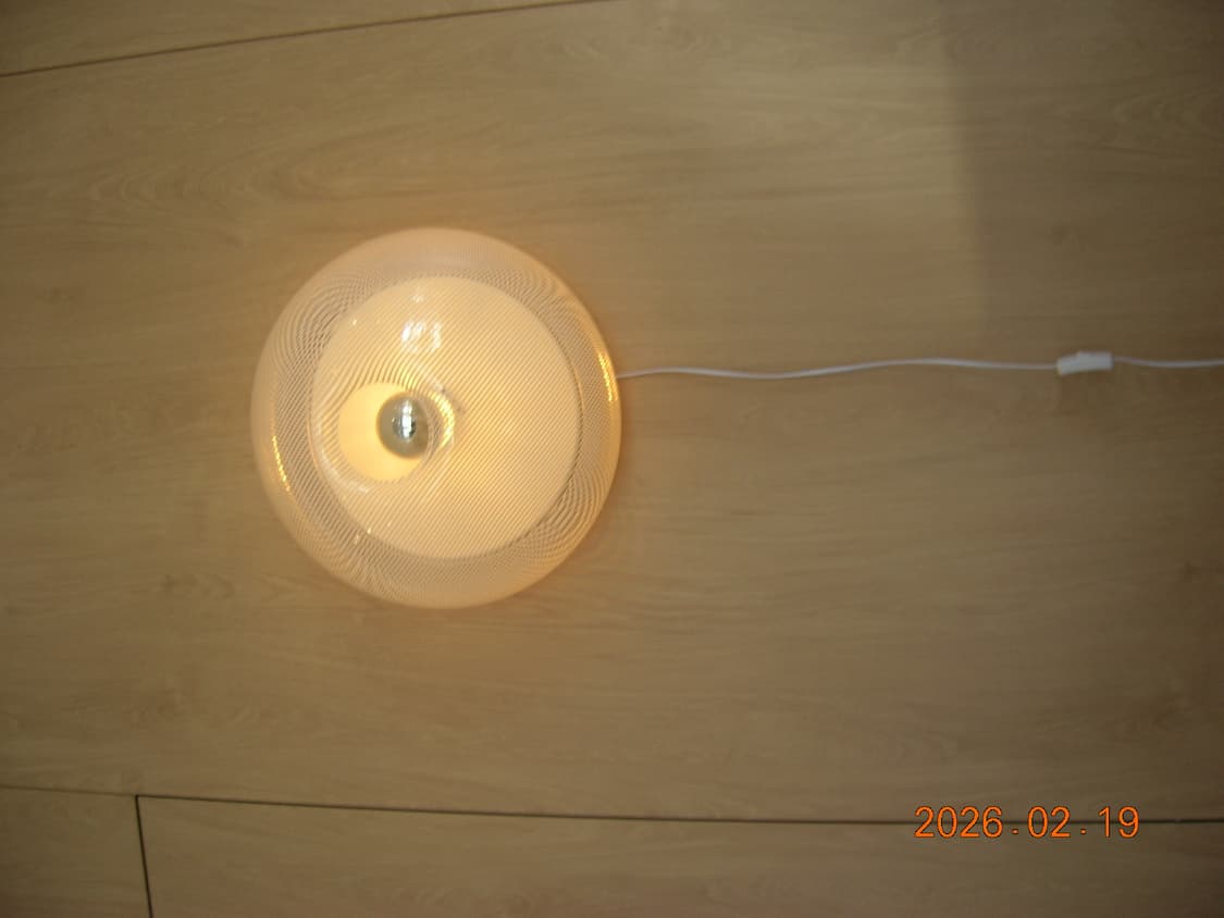 Nikon coolpix 5600 작례o 상품이미지8