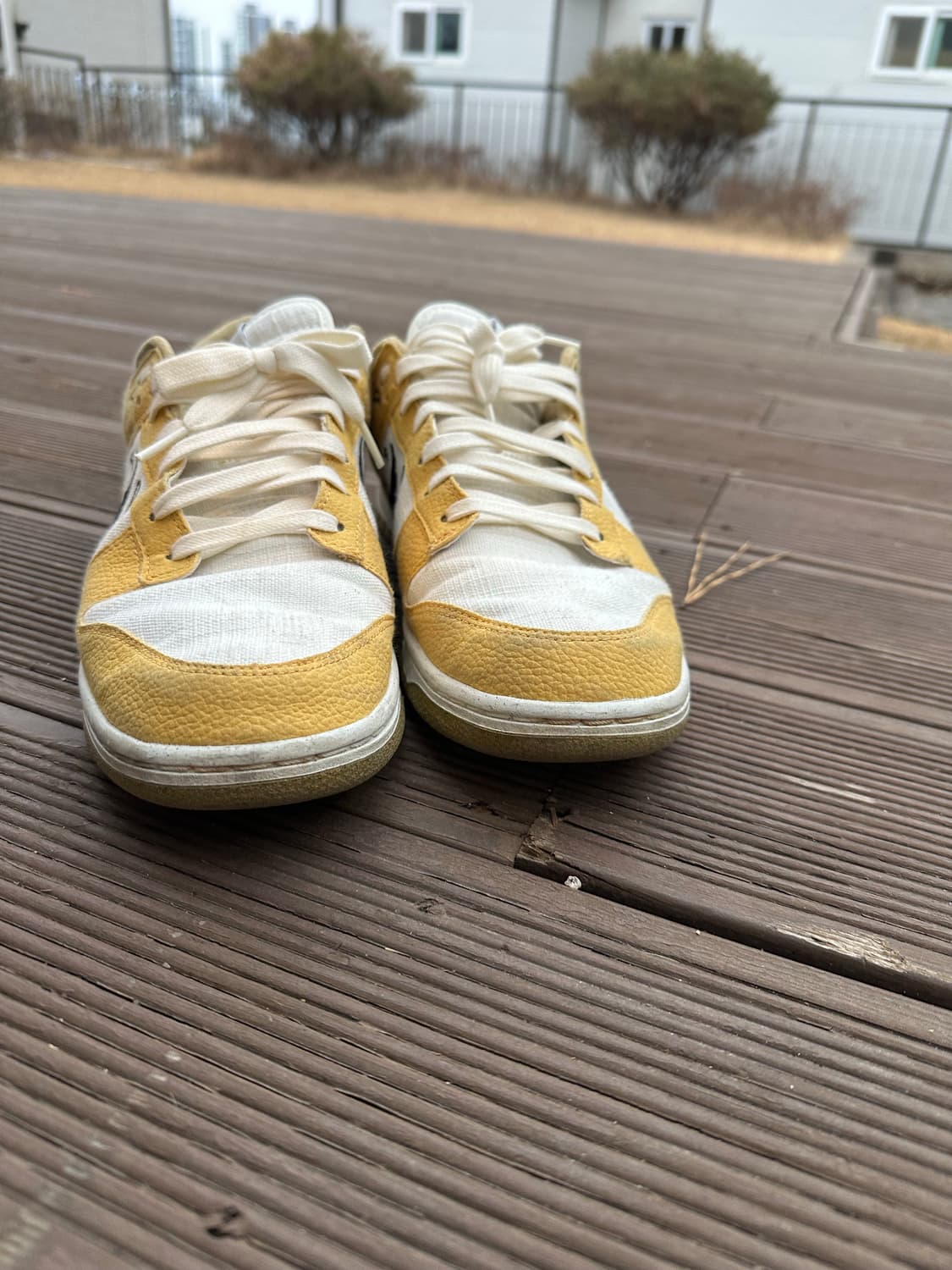 나이키 덩크 로우 넥스트 네이쳐 썬 클럽 280 상품이미지2