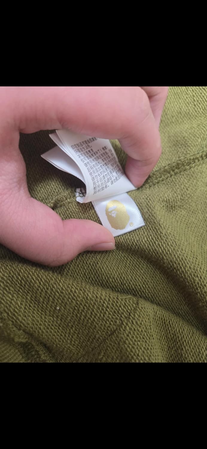 베이프 샤크 녹계 상품이미지4