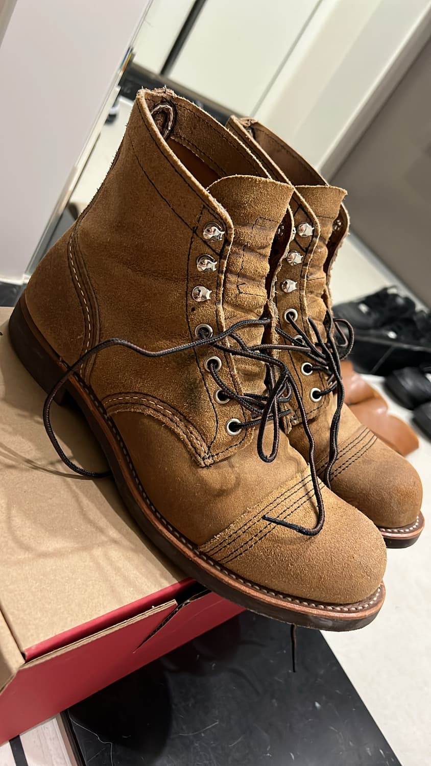 260 레드윙 8083 상품이미지3