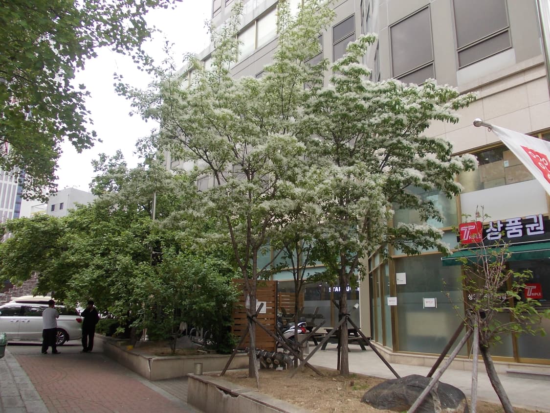 (작동,작례O) 니콘 쿨픽스L23 상품이미지7