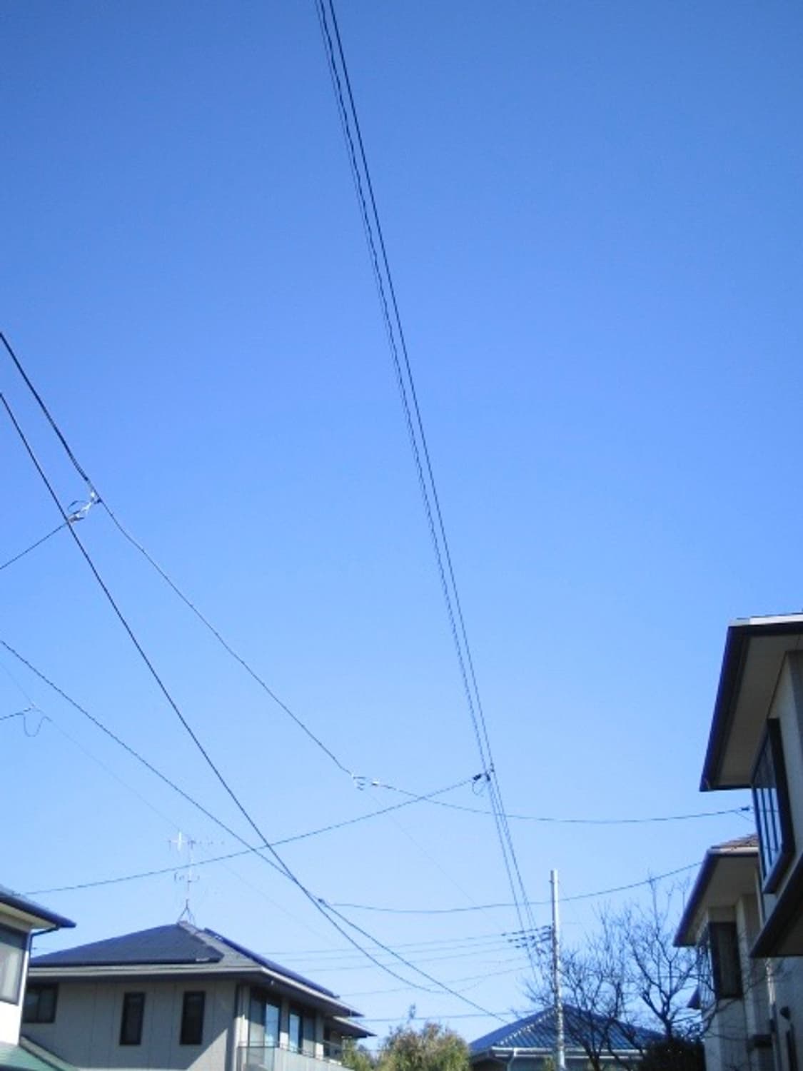 Canon IXY Digital L (IXUS i) 작례있음 상품이미지3