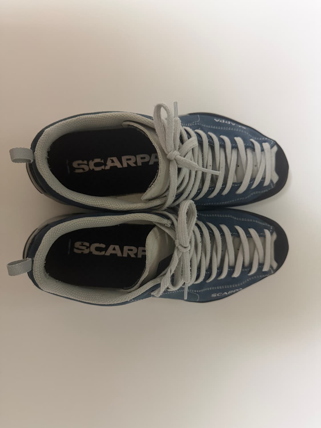 스카르파 모히토 오션 41T 265 상품이미지3