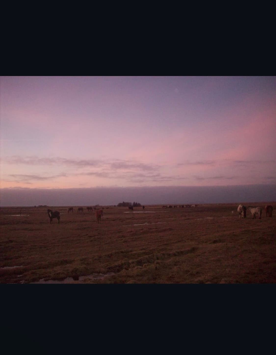 코닥 이지쉐어 m753 디지털카메라 상품이미지10