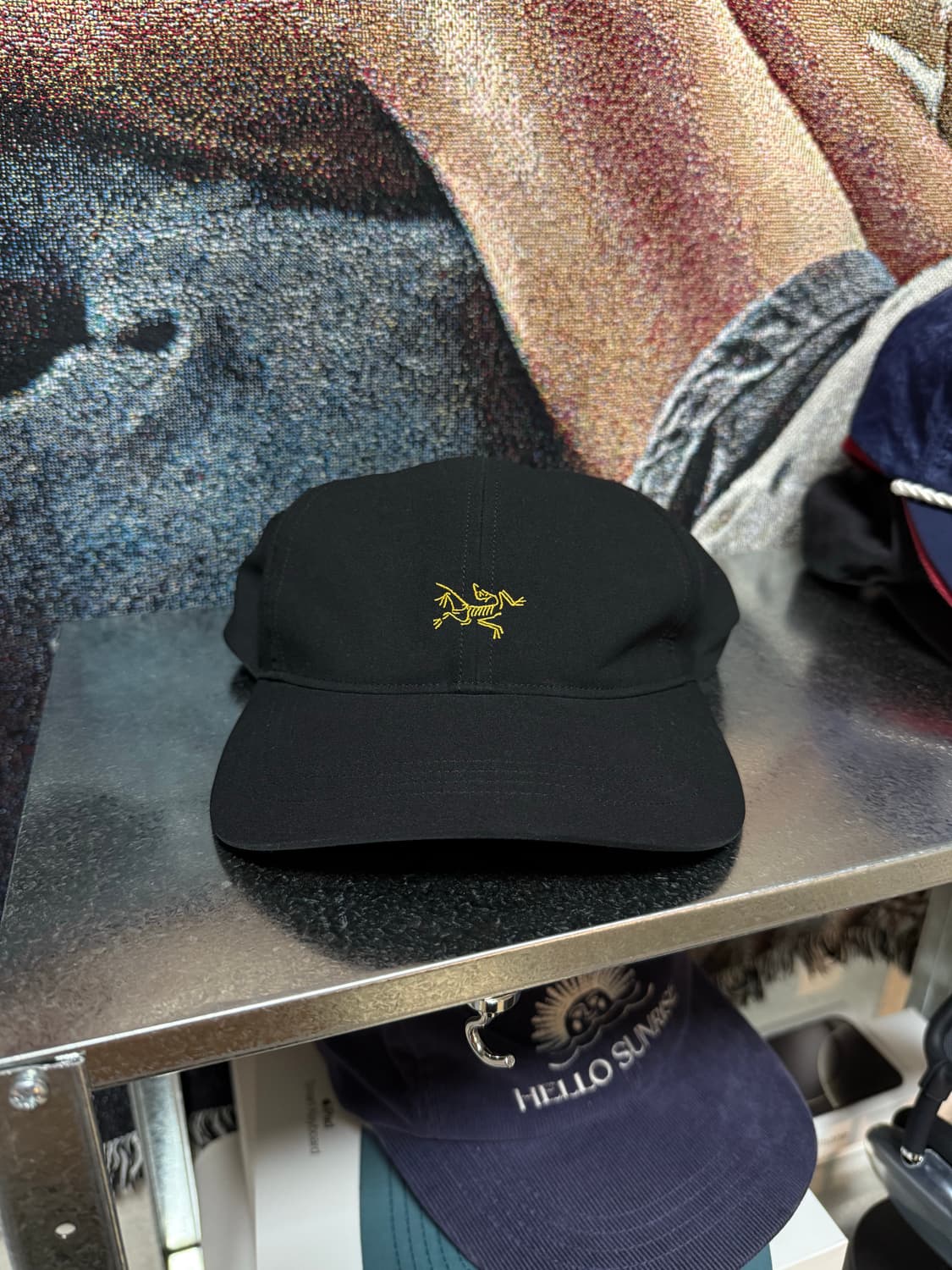 아크테릭스 버드 볼캡 상품이미지1