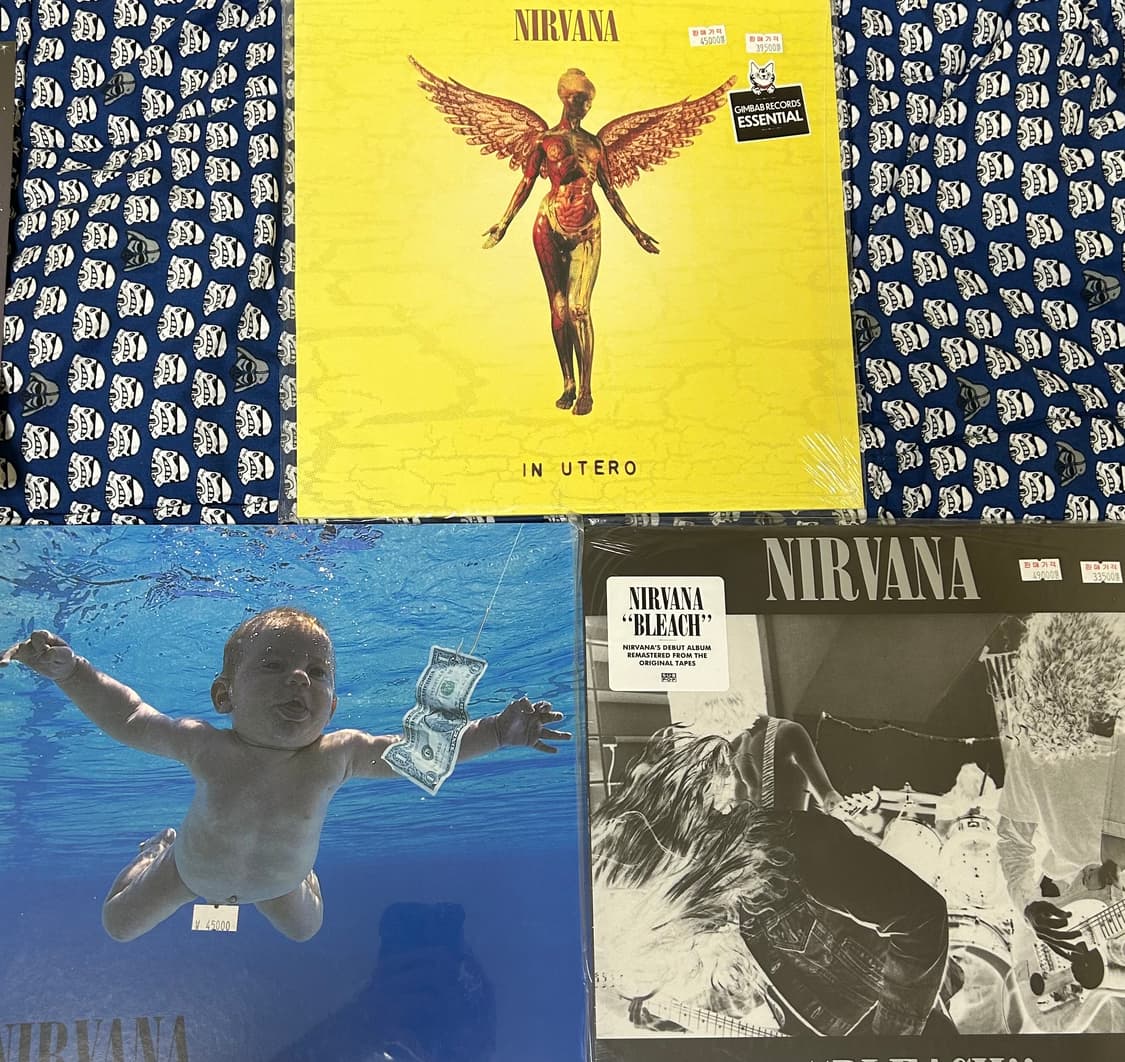 Nirvana lp 너바나 lp (미개봉,전집) 상품이미지1