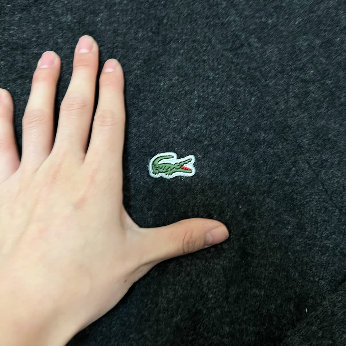 라코스테 울 크롭 니트 4사이즈  상품이미지3