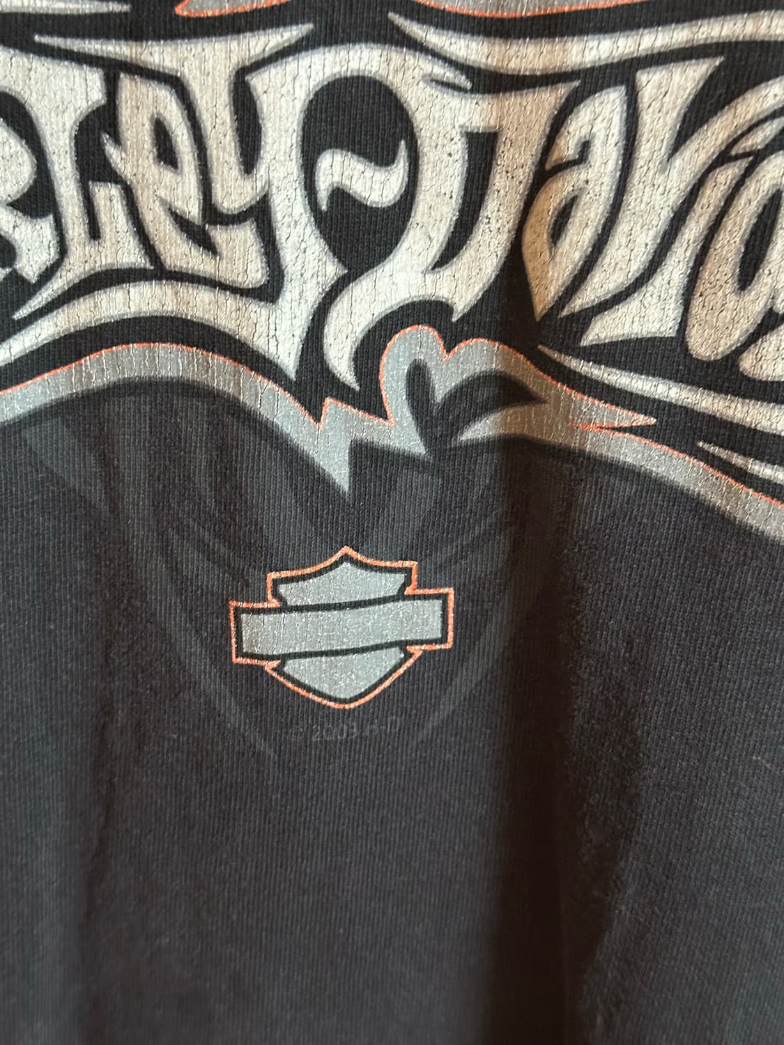 Harley-Davidson Spider Web Long Sleeve 상품이미지3