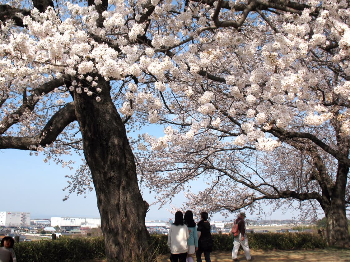 캐논 파워샷 Canon PowerShot A630 실버 상품이미지2