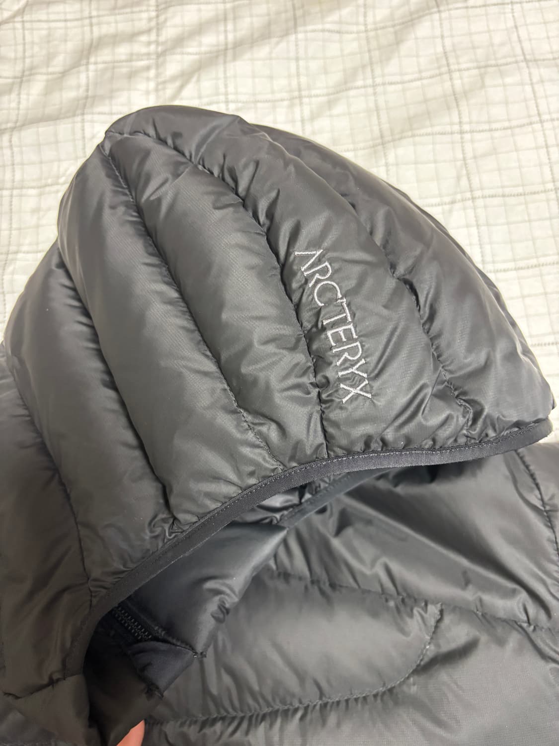 아크테릭스 세륨 후디 블랙 L 상품이미지5