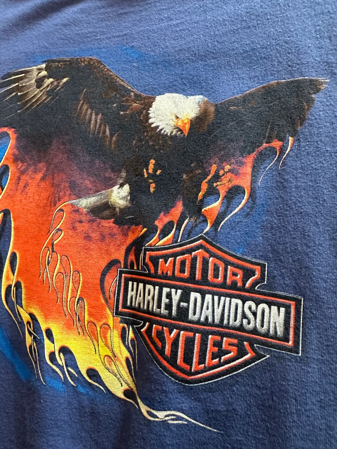 00s Harley-Davidson "Orlando Alligators" 상품이미지3