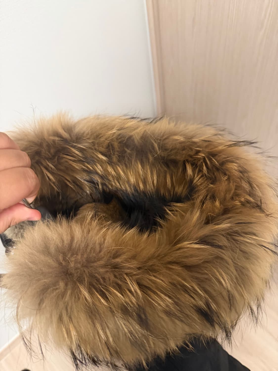 맥케이지 딕슨 19-20시즌 40사이즈 상품이미지2