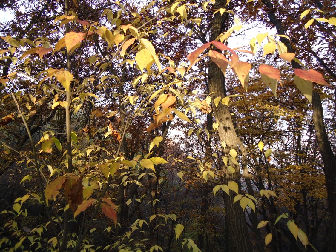 개인거래창 상품이미지1