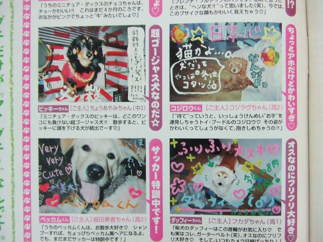 작례🌟후지필름 Fujifilm FinePix Z2 실버색 빈티지디카 상품이미지8