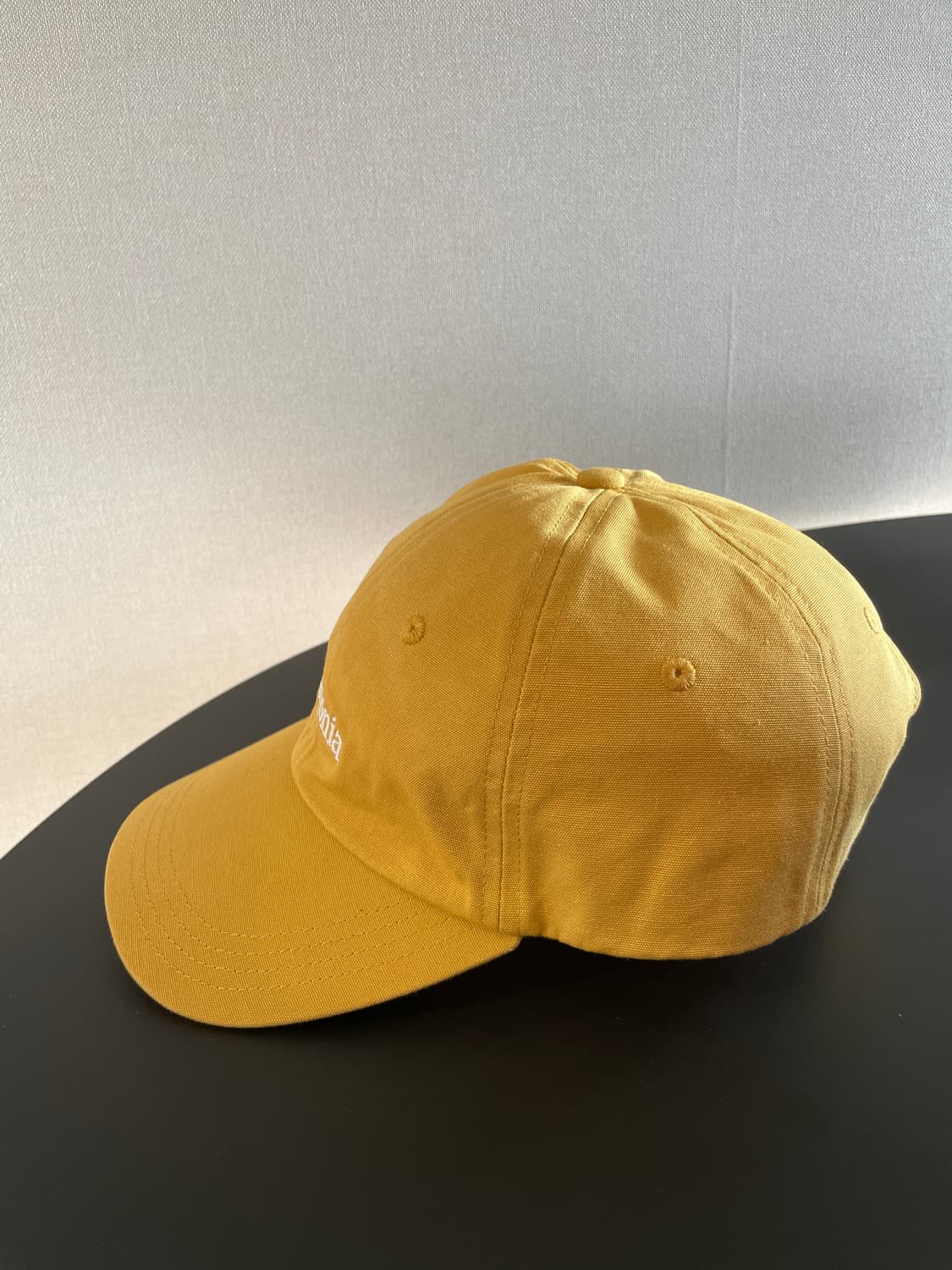 파타고니아 볼캡 상품이미지2