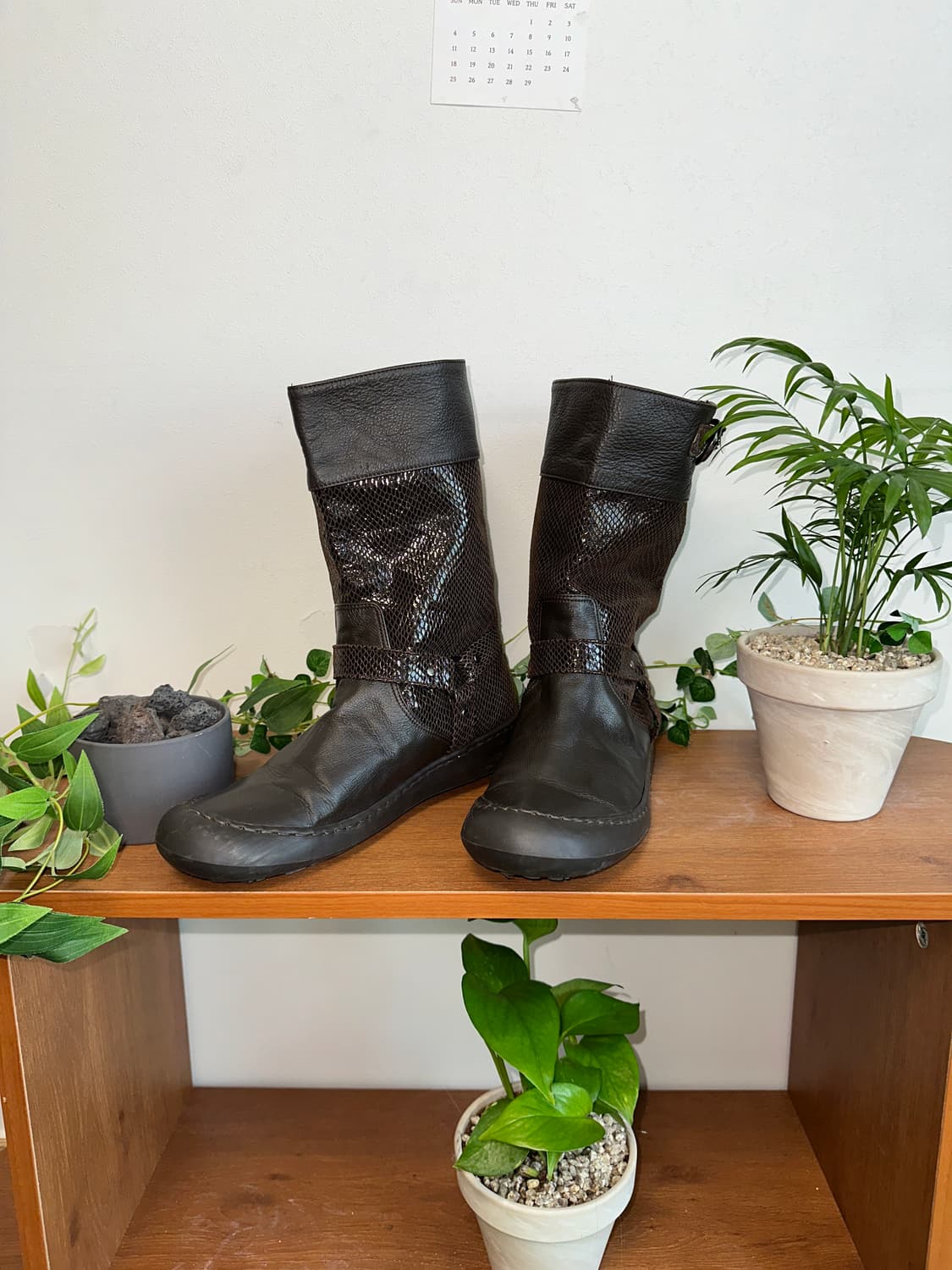 Dark brown python buckle boots 상품이미지1