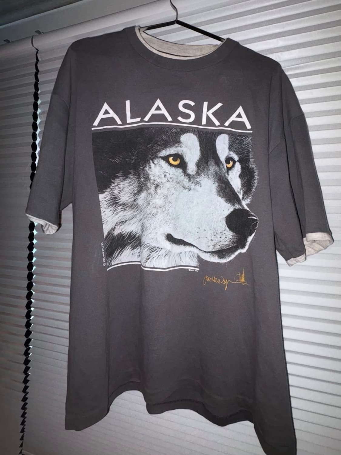 90‘s Vintage Alaska 티셔츠 상품이미지1