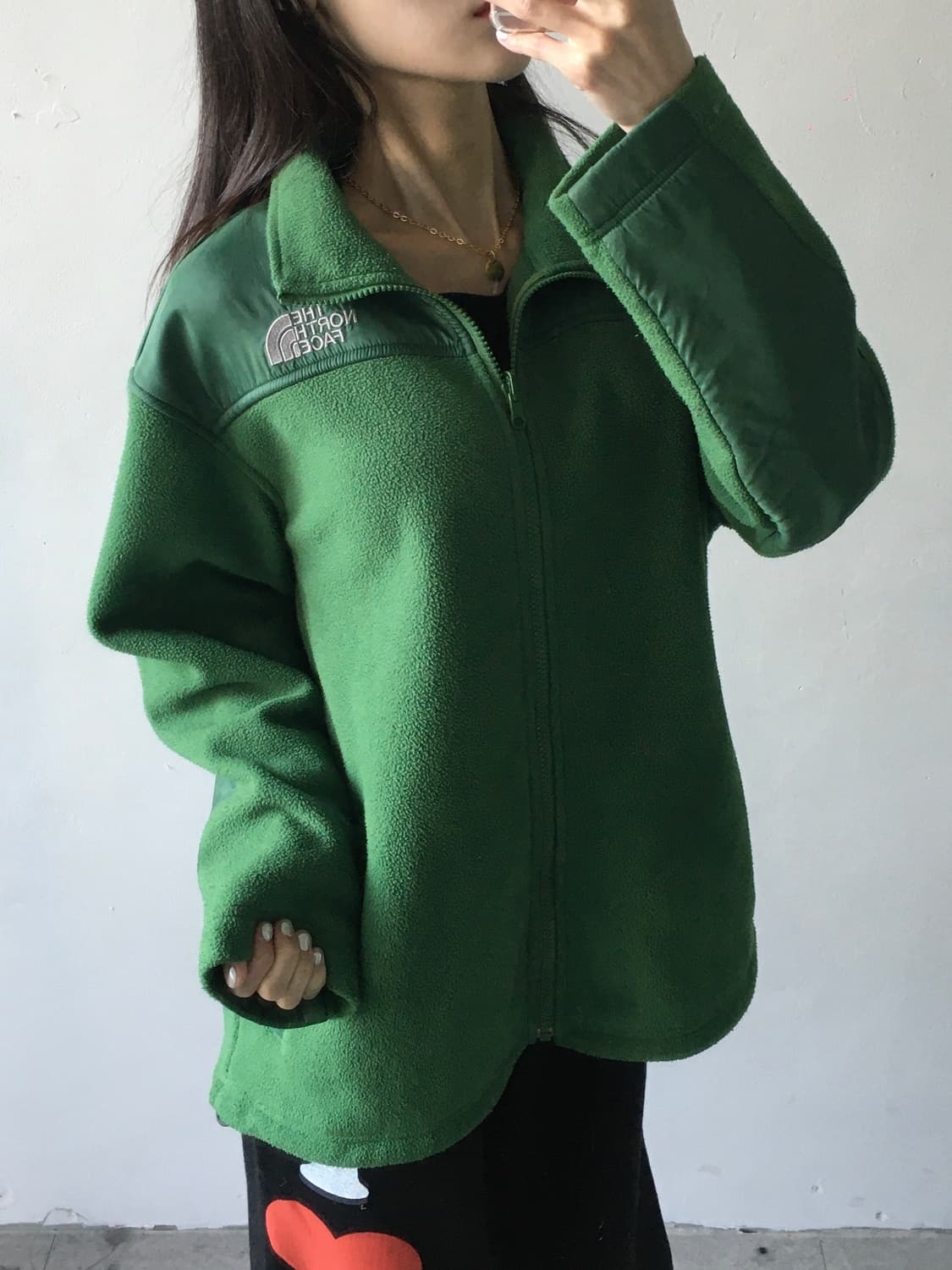 노스페이스 가슴로고 플리스 집업 상품이미지1