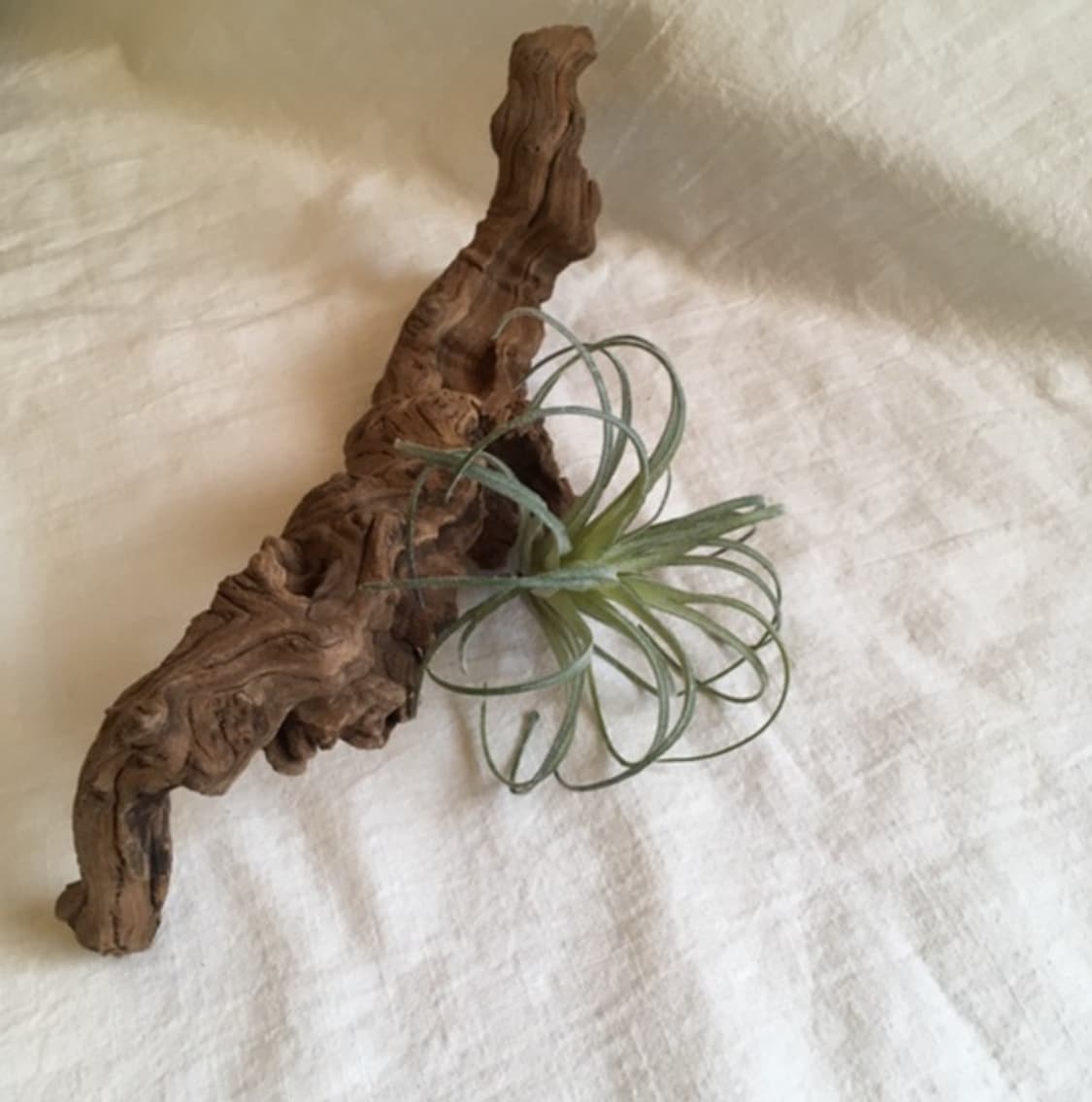 wood object 020 상품이미지2