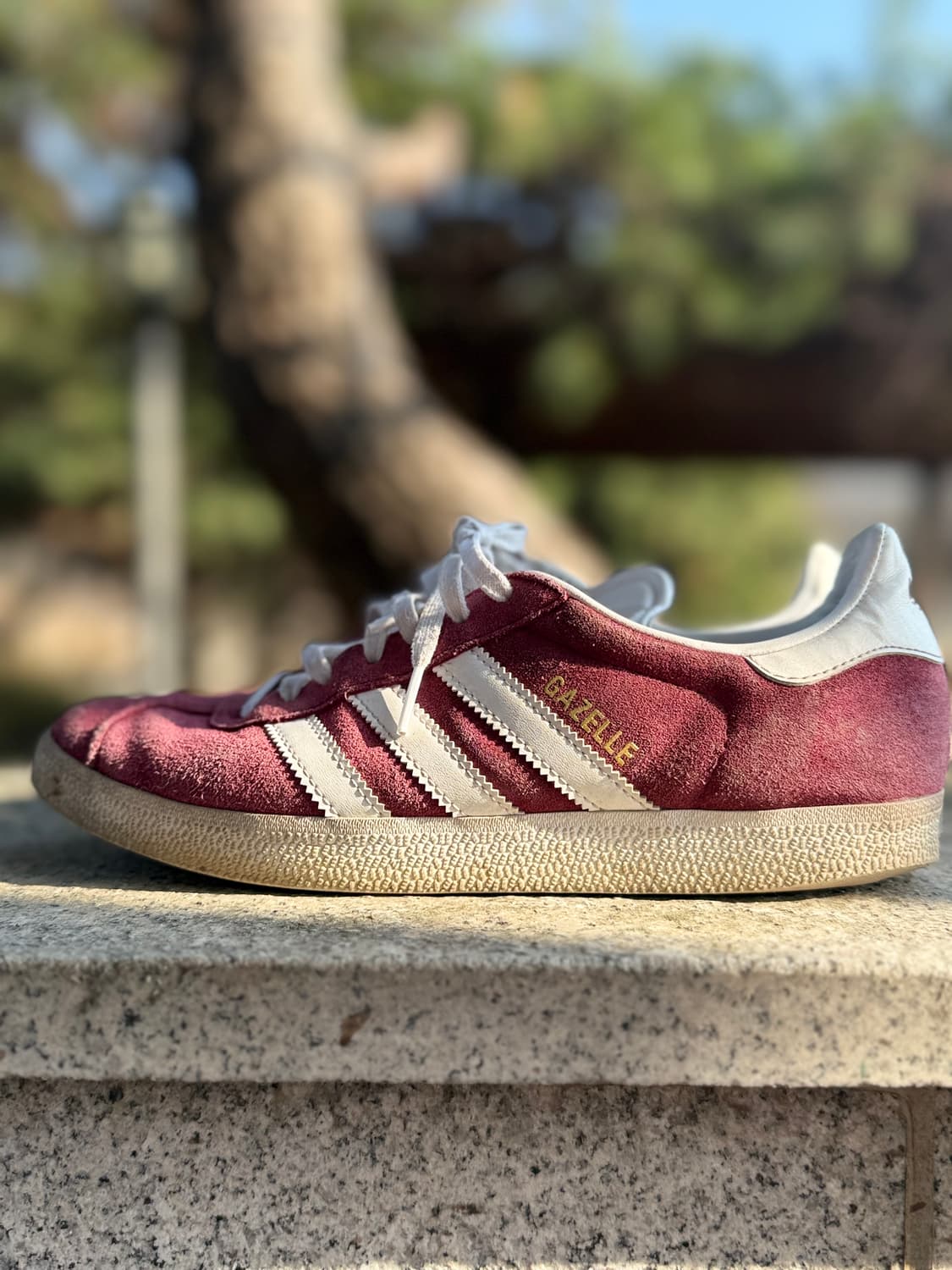 아디다스 가젤 버건디 255 상품이미지1